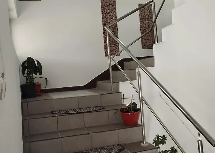 2 Bedrooms Luxury & 7 Camelia Appartement